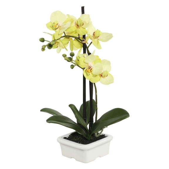 Vickerman 15.5" Artificial Green Orchid.