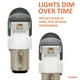 thumbnail image 2 of Bombilla LED SYLVANIA 1157 ZEVO roja para luces de freno y traseras, 2 of 8