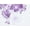 Plum Purple Floral Placement, variant on Woman Within Plus Size Floral Tee And Pant Set