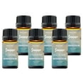thumbnail image 4 of Summer Vibe Fresh Scented Aromatherapy Essential Oil For Diffusers Humidifiers - 6-Pack, 4 of 8