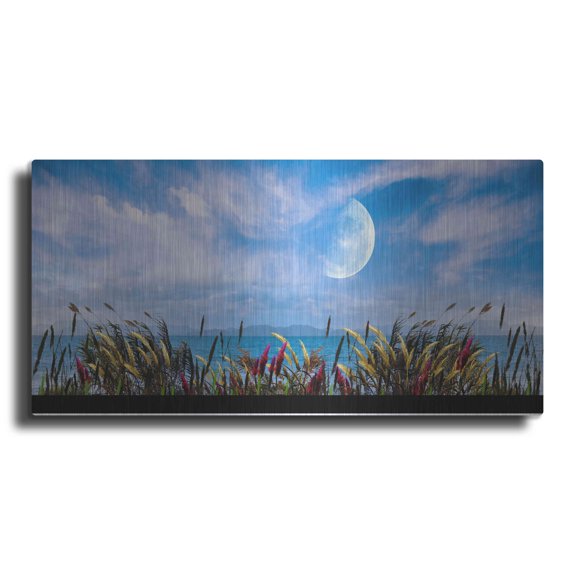 Luxe Metal Art 'Nature Collection 9' by Ata Alishahi, Metal Wall Art, 48"x24"