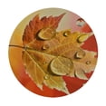 thumbnail image 4 of BANET Autumn Maple Leaves Round Tablecloth,Sunlight Circle Table Cover Stain Resistance Water Repellent Table Cloth for Home Kitchen Dining Party Patio Indoor Outdoor 31"-35, 4 of 8