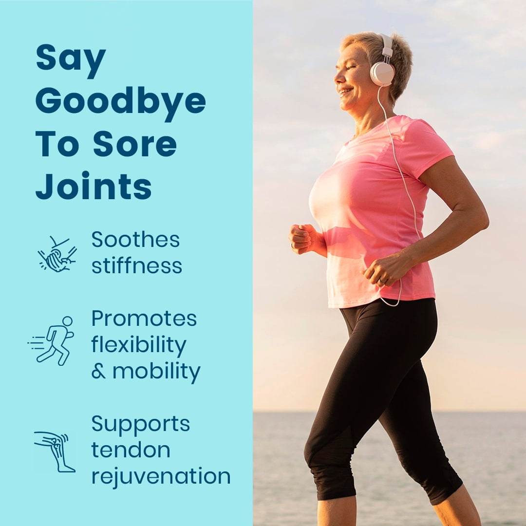 BB Company Provitalize Probiotics for Menopause Weight, Gut Health, Joint Support (2 pack)