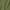 Military Green, variant on Mens In The Halls Of Valhalla T-Shirt Viking Shirts Viking Warrior Gift Tee Skull Helmet T-Shirt