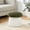 Green, variant on Gericco 20" Chenille Storage Ottoman Mushroom Shape Foot Rest Stool with Removable Top No Assembly,Grey