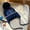 BU1, variant on Winter Hat for Kids Toddler Children Toddler Kids Baby Girls Boys Animal Dinosaur Soft Warm Knit Hat Kids Winter Hat With Cap