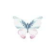thumbnail image 1 of Crystal Candy Wild Edible Butterflies - Pack of 22, 1 of 2