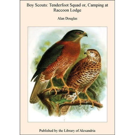 Boy Scouts: Tenderfoot Squad or, Camping at Raccoon Lodge -