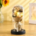 thumbnail image 4 of Wadada Preserved Flowers Gifts for Her, Preserved Rose Bouquet in Glass Dome, Light Up Rose Gifts Perfect for Mom Girlfriend Wife, Perfect for Birthday Anniversary Valentine's Day (Black Rose), 4 of 6