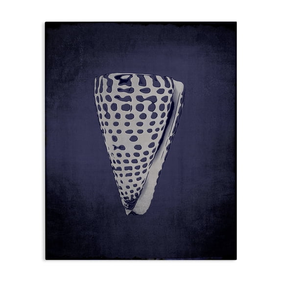 Stupell Industries Tropical Nautical Cone Shell Canvas Art, 16 x 20, by Graffitee Studios