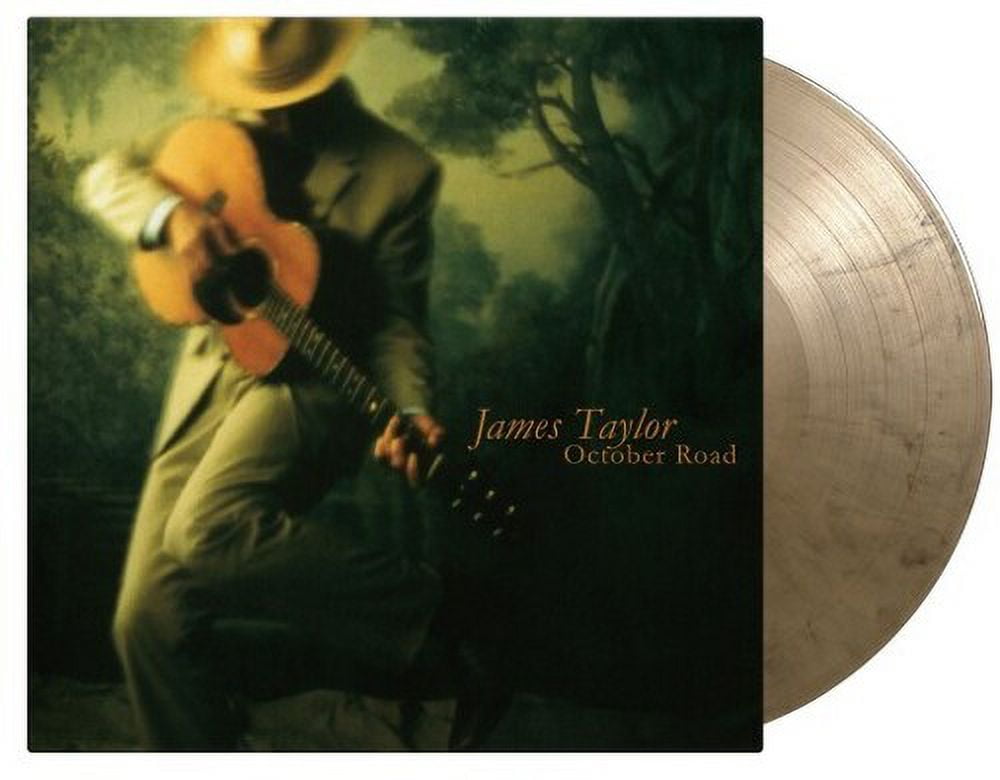 米LP James Taylor James Taylors Greatest Hits R13113 Warner Records /00400 James Taylor – James Taylor's Greatest Hits – Vinyl (LP