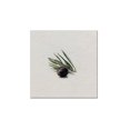 thumbnail image 1 of Cuadro decorativo lienzo by suma olive fruit 1 pieza 30 X 30 CM, 1 of 2