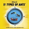 thumbnail image 3 of (8 pack) Combat Max 2 in 1 Ant Bait Station, 4 Count, 3 of 10