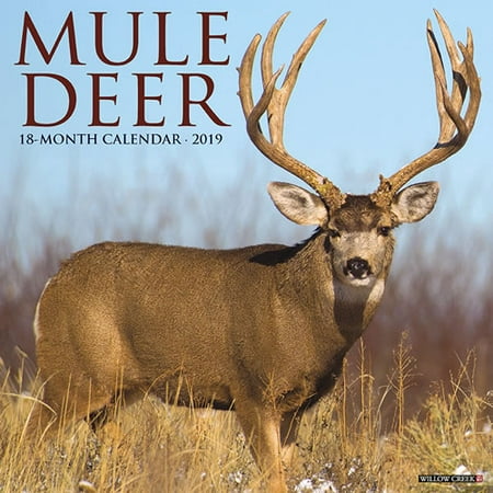 Willow Creek Press 2019 Mule Deer Wall Calendar (Best Deer Hunting Times Calendar)