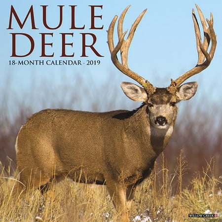 Deer Calendar - Willow Creek Press 2019 Mule Deer Wall Calendar