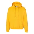 thumbnail image 1 of Russell Athletic Dri Power® Hooded Sweatshirt, 1 of 3