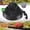 Black-1, variant on Saburrnity Garden Edging Border, 60FT 2 Inch Tall Plastic Landscape Edging with 72 Stakes, Flexible Tool-Free Lawn Border for Yard, Flower Bed & Landscaping