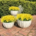 thumbnail image 5 of 8 Bundles Artificial Daisy Mums Flowers Outdoor Fake Fall Flowers for Decoration No Fade Faux Plastic Autumn Flower Garden Porch Window Box Decor（Yellow）, 5 of 8