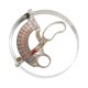 thumbnail image 4 of Hat Regla Tipo de calibrador Anillo de calibración Compass Ligero Conveniente Escala Conveniente Herramienta de medición de acero inoxidable para sombrero de tapa S, 4 of 8