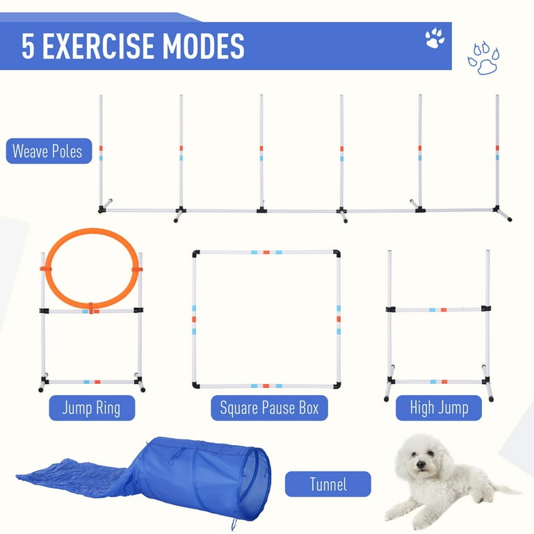 Outdoor Dog Exercise Equipment