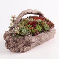 thumbnail image 4 of Dalazy Broken Roots Shape Succulent Planter Flower Pot for Living Room Decoration, 4 of 8