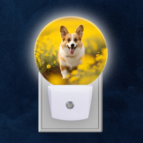 Night Light Plug into Wall,Dusk to Dawn Sensor Auto-On/Off for Bathroom, Hallway,Kids Room-Happy Corgi Running Through Field Of Yellow Flowers