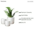 thumbnail image 7 of Matt White Flower Pots Garden Planters Set 3 Indoor outdoor ceramic plant pots round with Saucers, 7 of 7