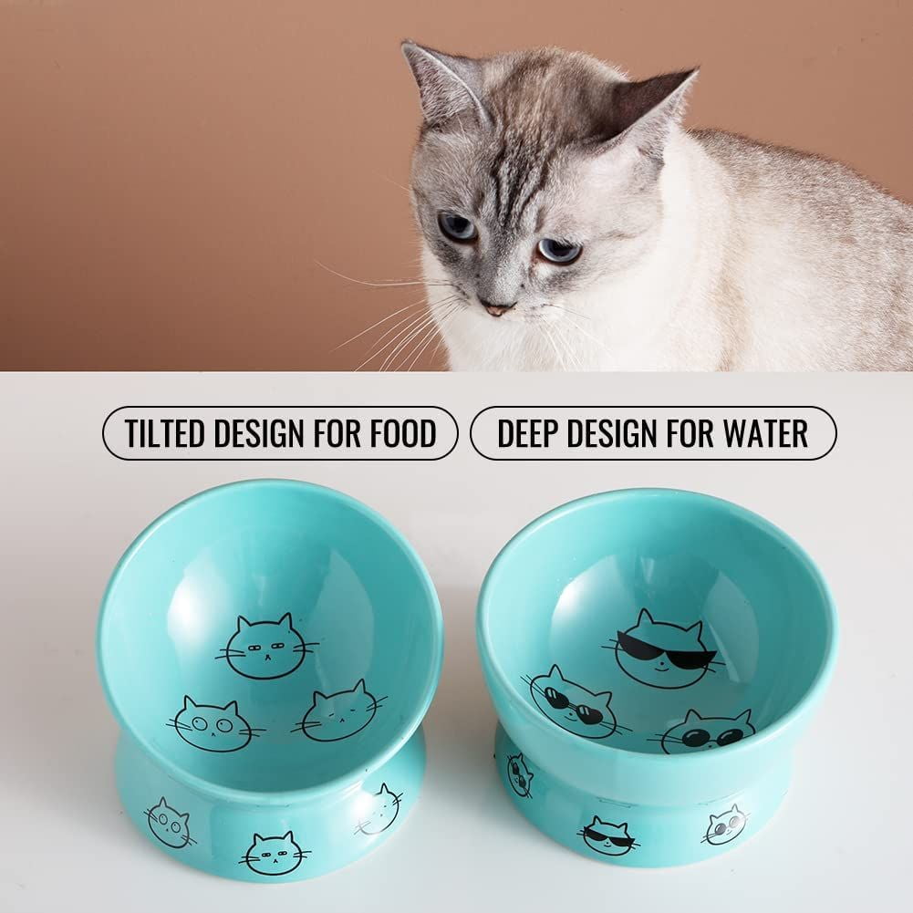 SWEEJAR Raised Cat Bowls Set, Tilted Food Bowl and Deep Water Bowl, Ceramic Pet Bowl Collection for Cats and Small Dogs, Set of 2 (Turquoise)