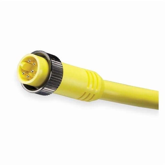 Brad Harrison Cordset,5 Pin,Plug,Male 105002A01F060