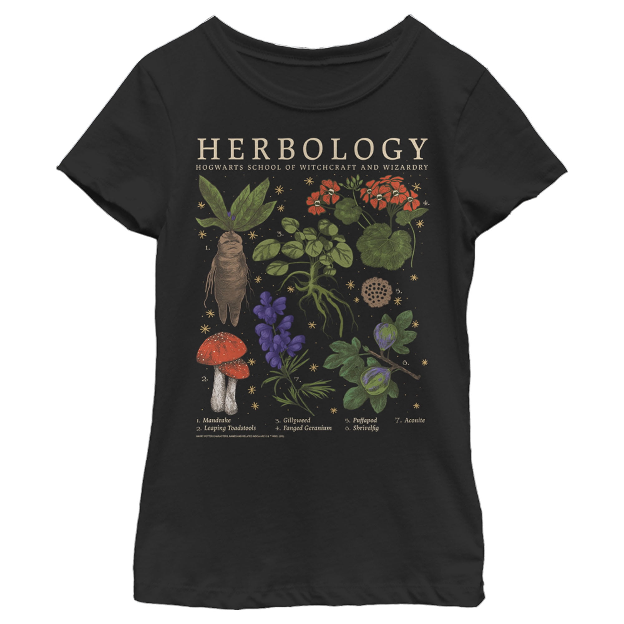 Girl's Harry Potter Hogwarts Herbology  Graphic Tee Black Medium