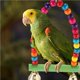 thumbnail image 2 of Juguete De Escalera Colorido Columpio Juguete De Madera Masticar Colgante De Juguete Suspensión Arcoíris Puente Colgante Mascota Juguete Multifuncional Jaula Accesorios Con Campanillas 3 Piezas Vogacara PT001234-00, 2 of 7