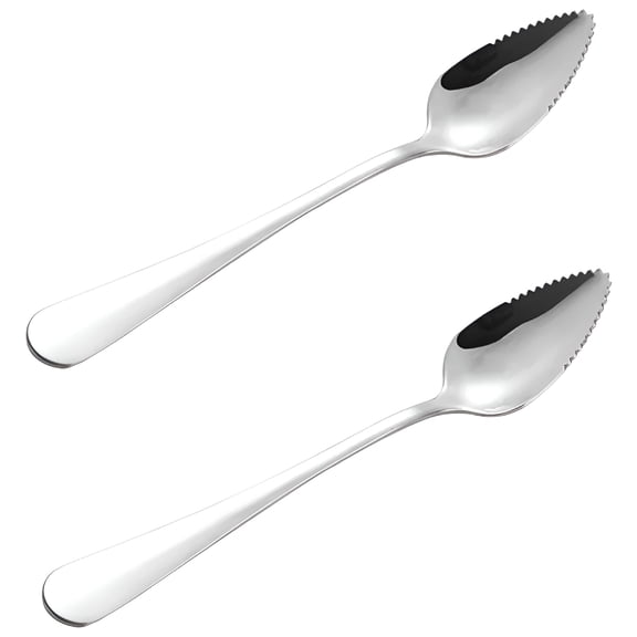 ACDANC 2PC Thick Stainless Steel Grapefruit Spoon Dessert Spoon Serrated Edge