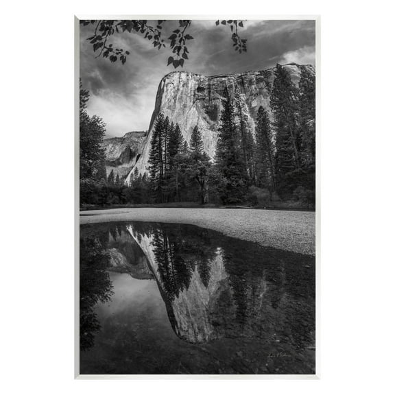 Stupell Industries Yosemite Wildlife Nature Reflection Photograph Unframed Art Print Wall Art, Design by Andre Eichman
