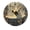 FFclock097, variant on ZXCXRQFa Desk Clocks Zebra Sitting On An Toilet Reading Wall Clocks for Living Room Decor,Kitchen Clocks Wall Battery Operated - 10 Inch Round Bathroom Wall Clock Silent Non-Ticking