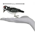 thumbnail image 3 of Old World Christmas Bird Watcher Collection Glass Blown Ornaments for Christmas Tree Woodpecker, 3 of 3