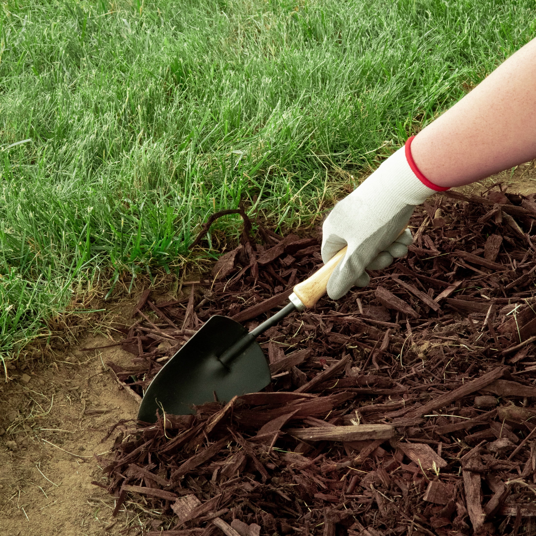 Expert Gardener 20-ft No-Dig Landscape Edging Kit, 4-in High Wall, Black Plastic