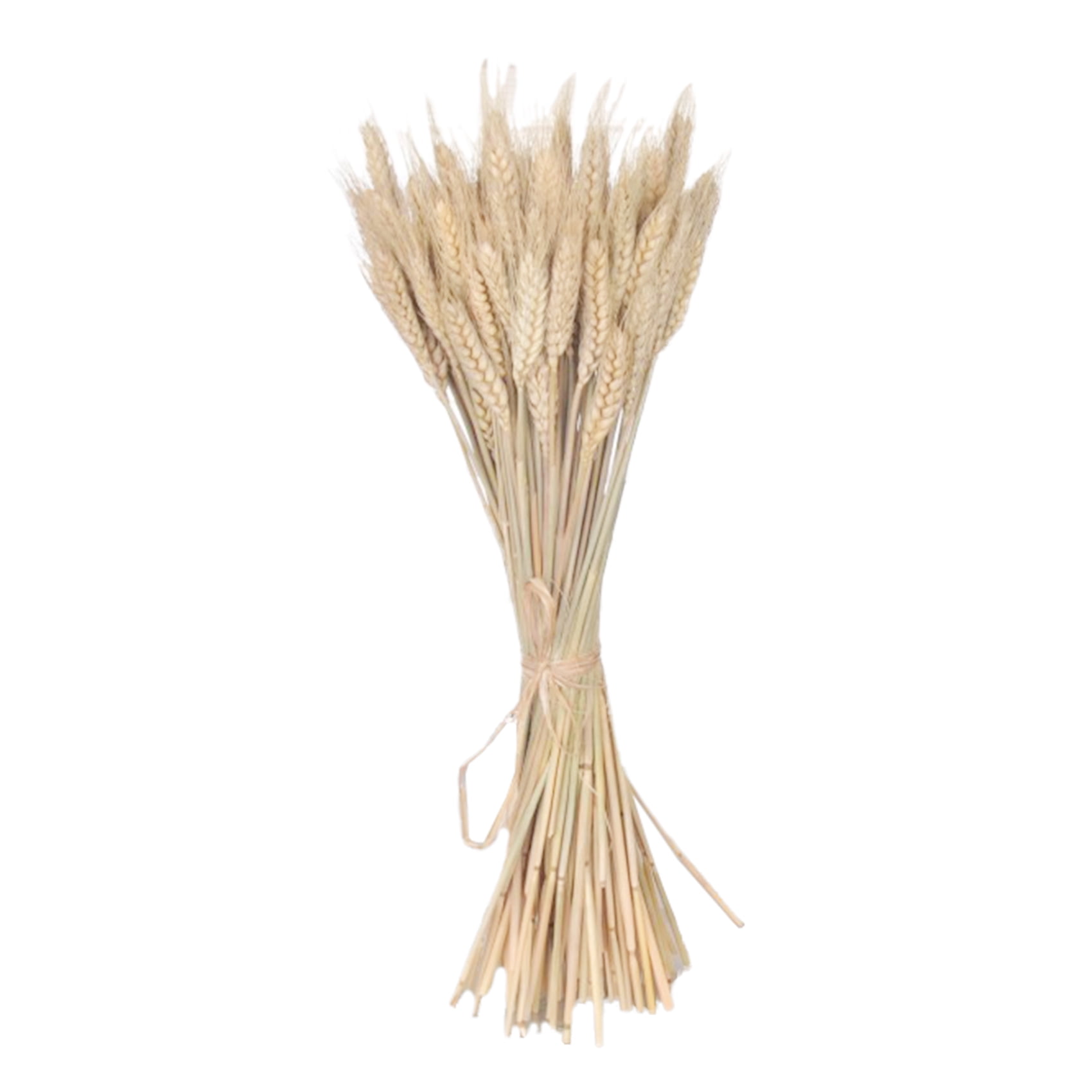 a bunch of dried flowers 100 stems of natural wheat flower arrangement