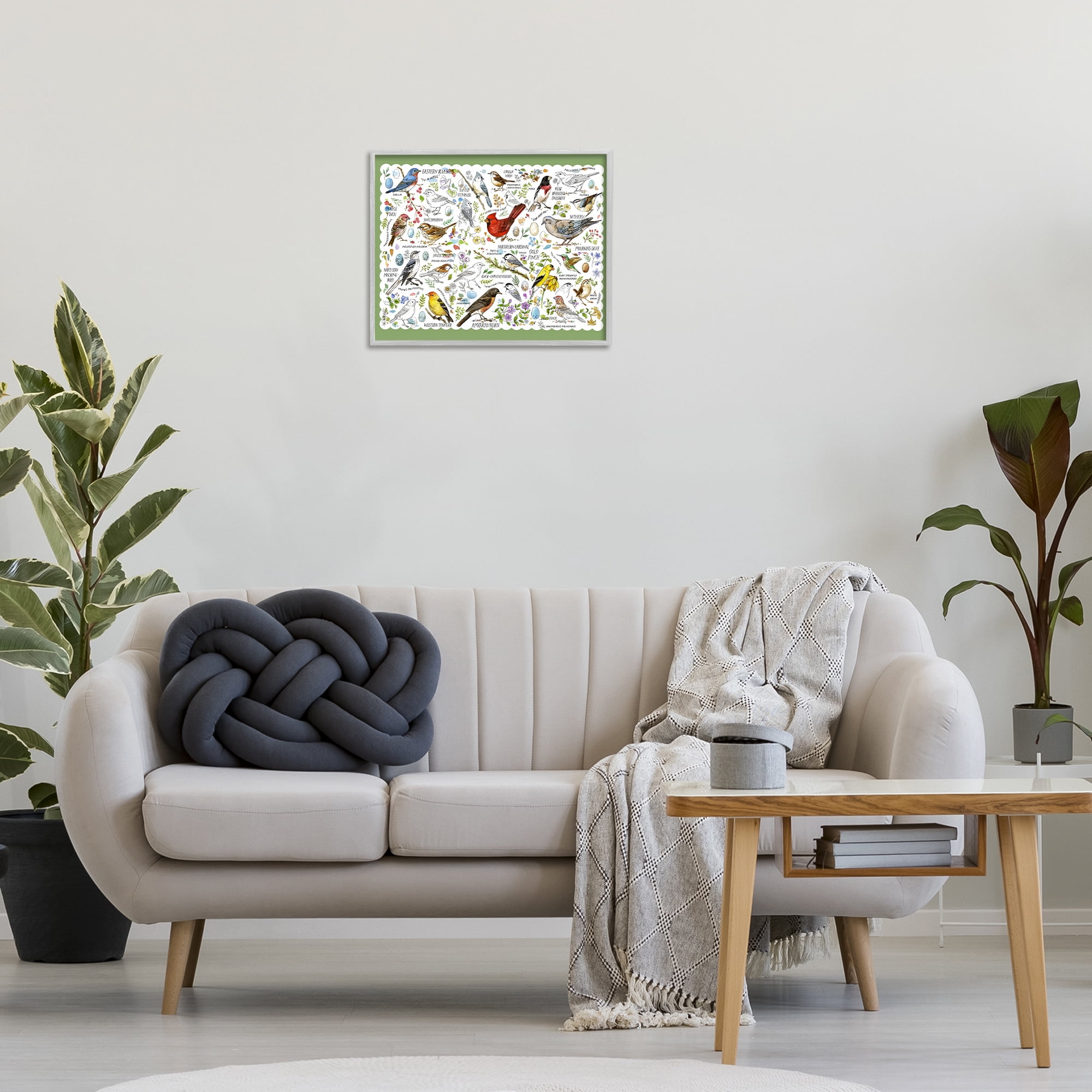 Stupell Industries Various Bird Species Animals & Insects Painting Gray Framed Art Print Wall Art, 20 x 16