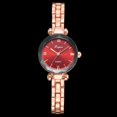 thumbnail image 4 of LVPAI Reloj de cuarzo con correa de aleación y números romanos retro a la moda para mujer (oro rosa + rojo), 4 of 4