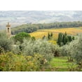 thumbnail image 2 of Eggers, Julie 18x15 White Modern Wood Framed Museum Art Print Titled - Italy-Chianti Pieve di Santa Maria Novella near Radda in Chianti, 2 of 4