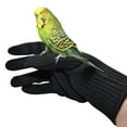 thumbnail image 4 of Anti-Bite Gloves Bird Parrots Training Animal Handling Gloves Protective Gloves, 4 of 5