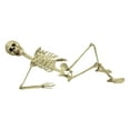 thumbnail image 1 of Agiferg Halloween Skeleton Prop Human Full Size Skull Hand Life Body Anatomy Model Decor, 1 of 9