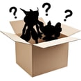 thumbnail image 3 of Caja de peluche Pokémon Mystery Blind Box, paquete de 2 unidades, 20 y 30 cm, 2 unidades, 3 of 7