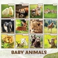 EcoEarth Monthly Wall Calendar for Year 2025, 12Month Baby Animals