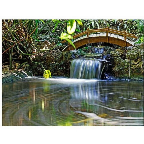 Trademark Art "River of Eternity" Canvas Art by CATeyes