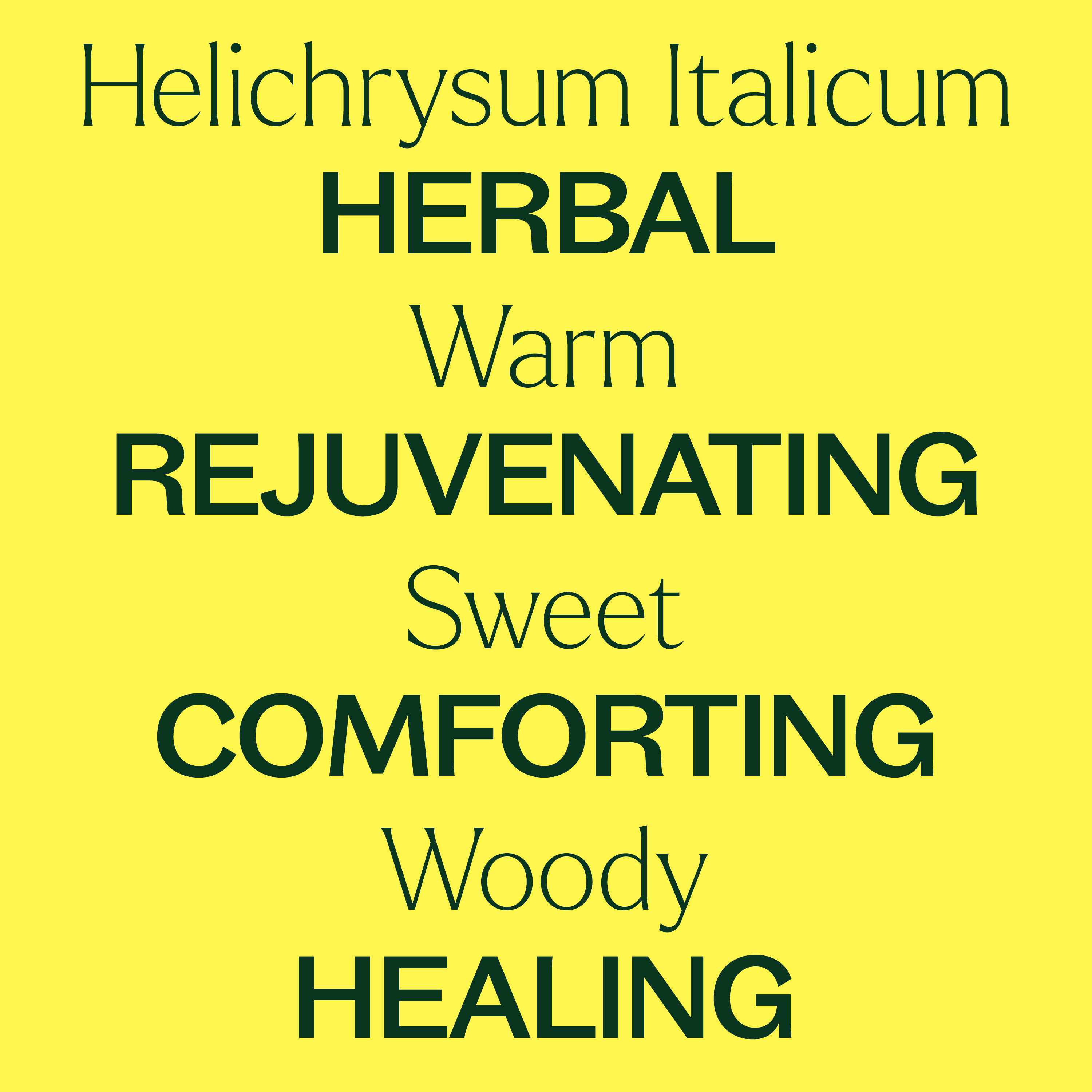 Plant Therapy Organic Helichrysum Italicum Essential Oil, 100% Pure, USDA Certified Organic, Undiluted, 2.5 mL (1/12 oz)