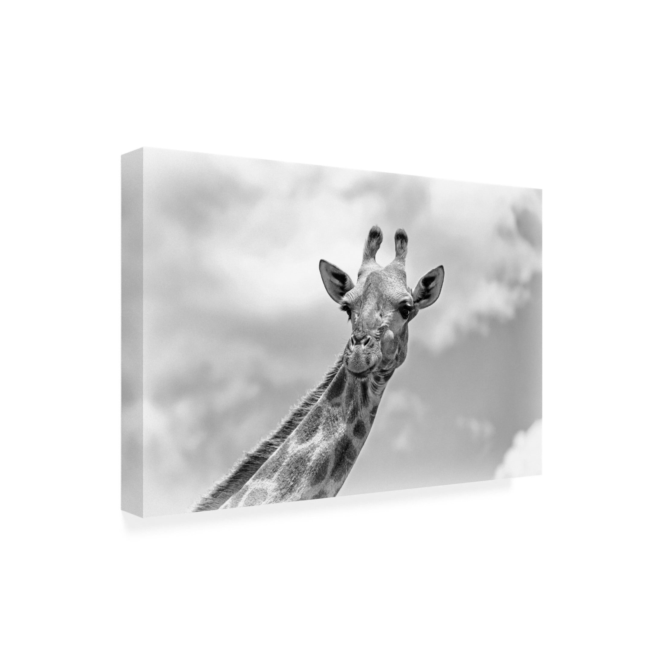 Trademark Fine Art Regine Richter The giraffe - Wildlife V Canvas Wall Art