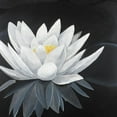 thumbnail image 3 of Atelier B Art Studio 12x12 Black Modern Framed Museum Art Print Titled - Lotus Flower with Reflection, 3 of 5