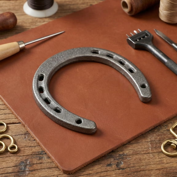 WAXIAYU Cast Iron Horseshoe Wall Hanging Decor with 5 Holes on Each Side - for Home and Garden