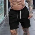 thumbnail image 1 of Augper Men's Beachwear Summer Thin Quick Drying Swimming Trunks Casual Fit Five Part Sports Shorts Pants, 1 of 8